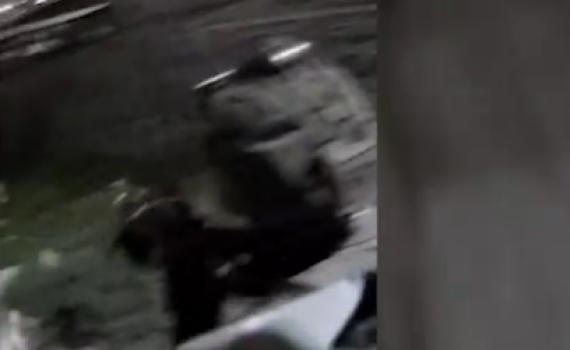 "מחבל נפל": תיעוד דרמטי ממצלמות המסתערבים