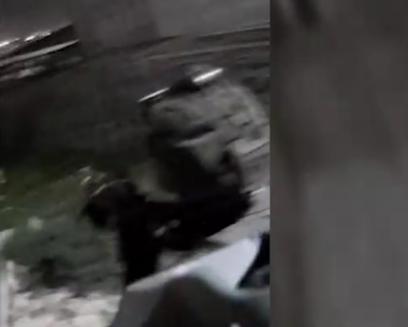 "מחבל נפל": תיעוד דרמטי ממצלמות המסתערבים