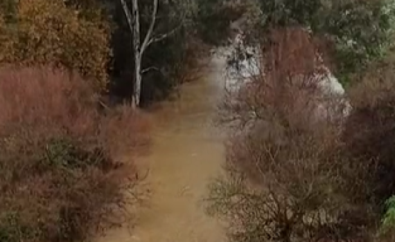 עם שוך הסערה: תיעוד מרהיב מנהר הירדן. צפו