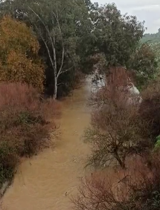 עם שוך הסערה: תיעוד מרהיב מנהר הירדן. צפו