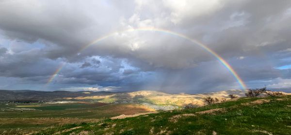 תמונת היום: קשת מרהיבה מצד לצד בבבקעת הירדן