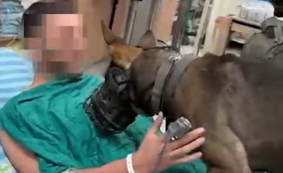 צפו: לוחם עוקץ שנפצע פוגש שוב את הכלב