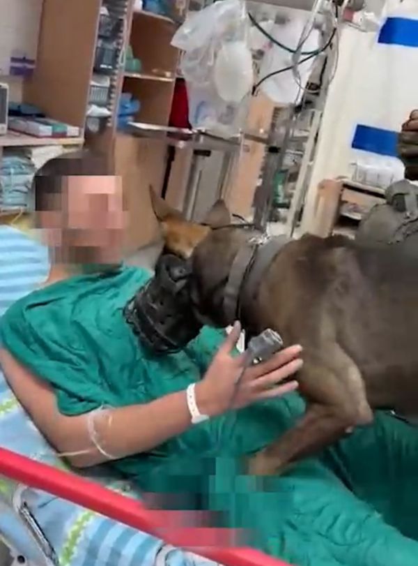 צפו: לוחם עוקץ שנפצע פוגש שוב את הכלב