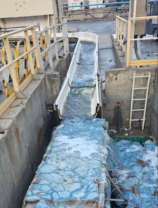 המורדים החוטים: מאות מדוזות פשטו על תחנת הכח בזיקים