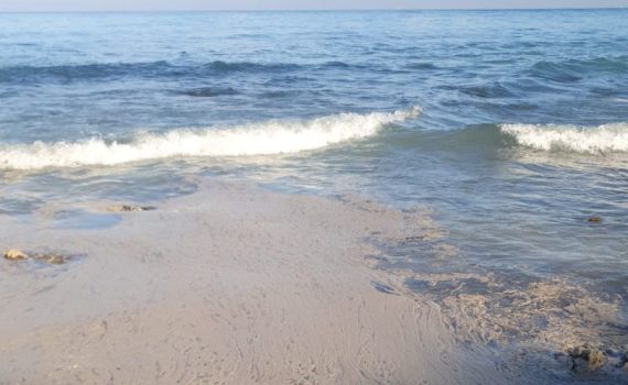 המשרד להגנת הסביבה: כתם שמן חשוד אותר בימה של אשקלון