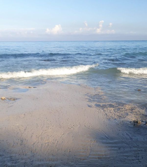 המשרד להגנת הסביבה: כתם שמן חשוד אותר בימה של אשקלון