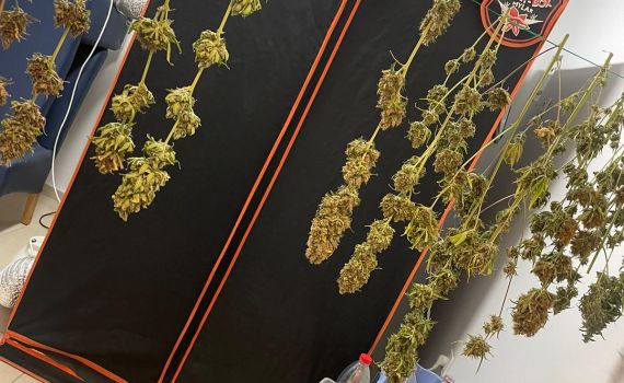 המשטרה גילתה: מעבדת סמים בעיר המפונה