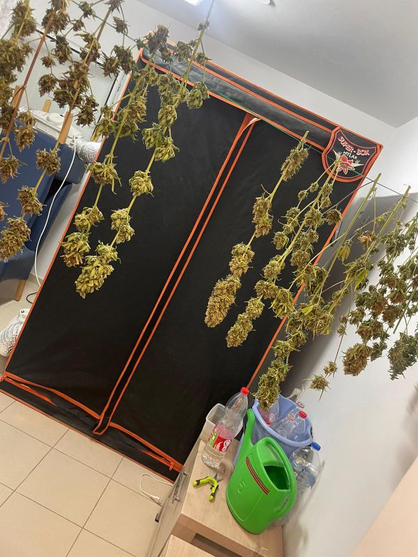 המשטרה גילתה: מעבדת סמים בעיר המפונה