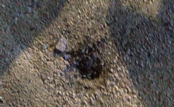 פיצוץ בכלא שקמה: הערכה כי מדובר באירוע פלילי