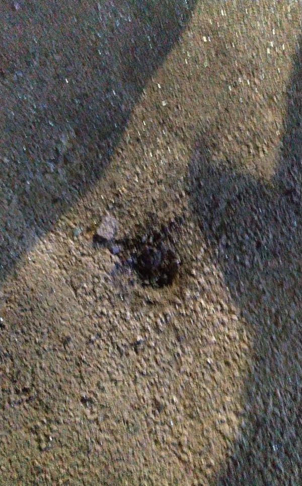 פיצוץ בכלא שקמה: הערכה כי מדובר באירוע פלילי