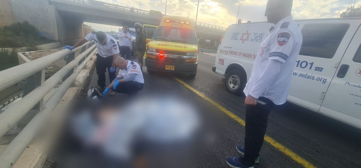 אסון על הכביש: זוג מבוגרים נהרגו מפגיעת משאית בצפון