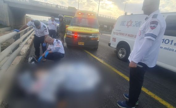 אסון על הכביש: זוג מבוגרים נהרגו מפגיעת משאית בצפון