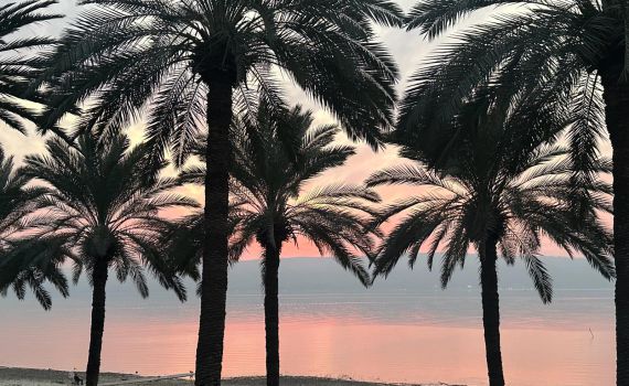 לקראת הסערה | מפלס הכנרת ממשיך לעלות