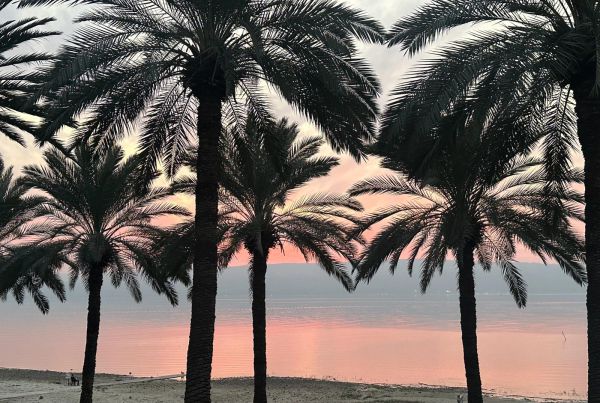 לקראת הסערה | מפלס הכנרת ממשיך לעלות