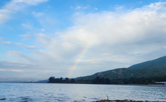 מפלס הכנרת ממשיך לזנק: כמה הוא עלה ביום האחרון?