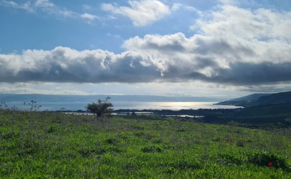 כמויות אדירות של מים: מפלס הכנרת בנתון אדיר