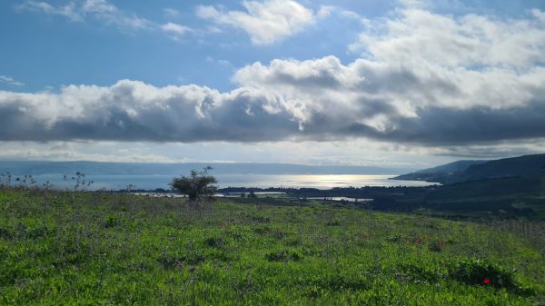 כמויות אדירות של מים: מפלס הכנרת בנתון אדיר