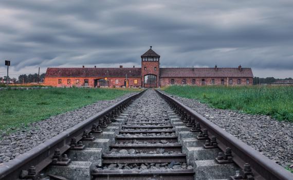 אפקט המלחמה? מוזיאון אושוויץ בבקשה חריגה לציבור
