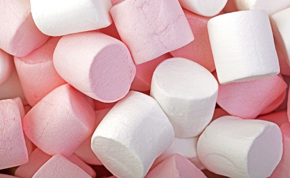 יום המרשמלו הבינלאומי: דברים שלא ידעתם על הממתק הממכר