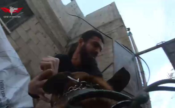 צפו: מטמין מטען, מתחבא ונלכד בנשיכות כלב עוקץ