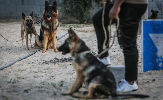 משרד הבריאות מזהיר: האיום החדש שבא מעזה