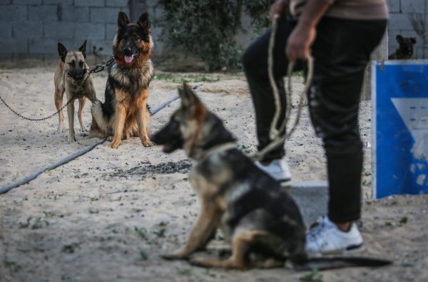 משרד הבריאות מזהיר: האיום החדש שבא מעזה