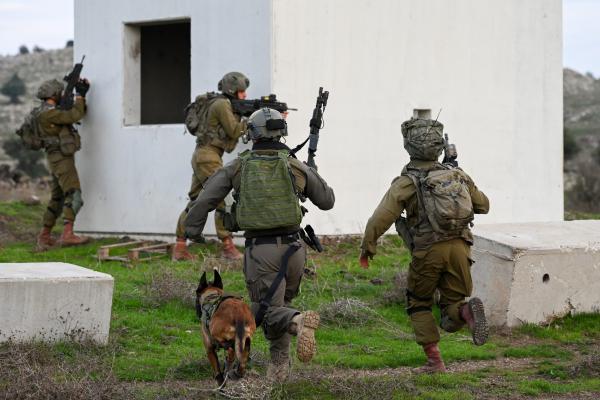 חייל צה"ל נפצע באורח קל מפליטת כדור בבסיס בדרום