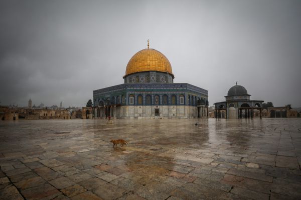 חמאס לחוץ על הר הבית, למה לא ללחוץ אותו יותר?