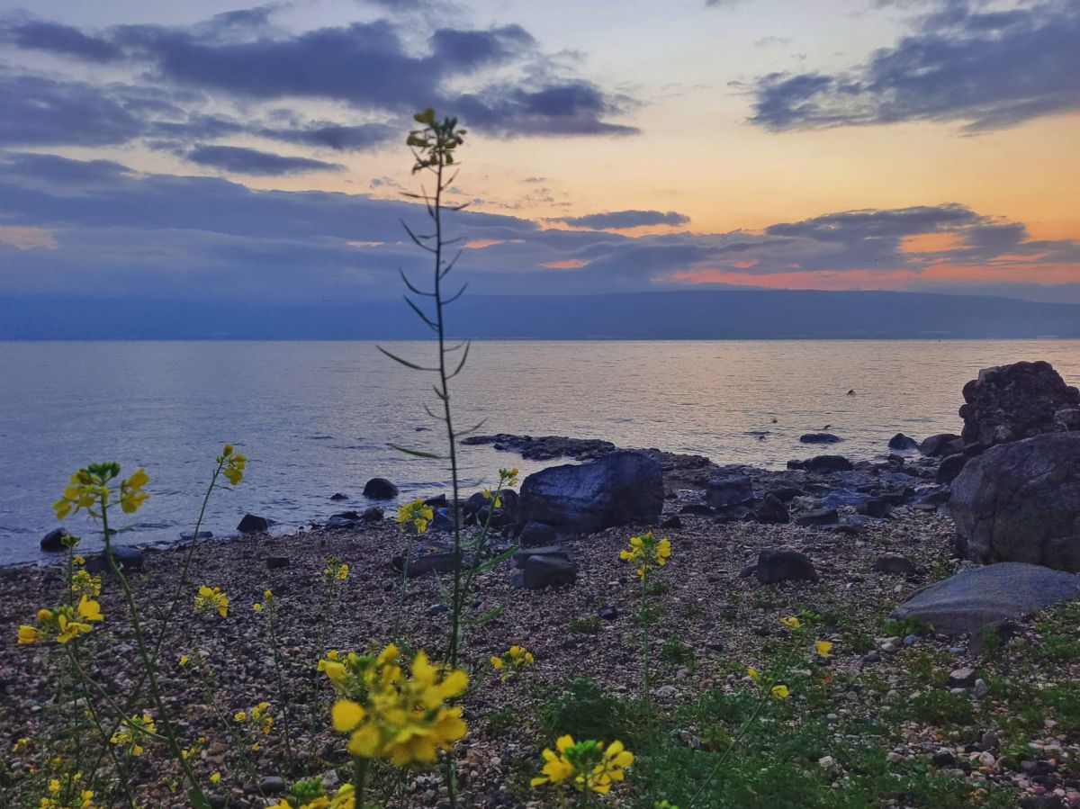 אחרי הסערה בשבת: מפלס הכנרת בבשורה מדאיגה