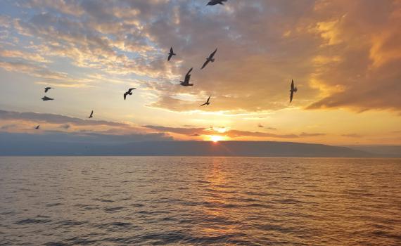 פאניקה בצפון: "לא זוכרים מצב כל כך גרוע"