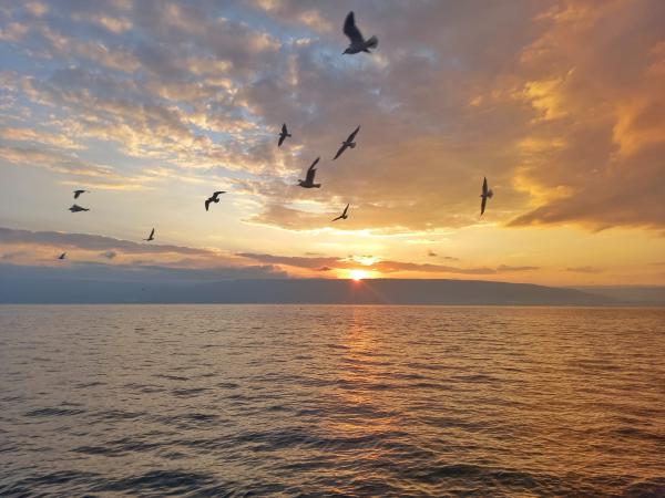 פאניקה בצפון: "לא זוכרים מצב כל כך גרוע"