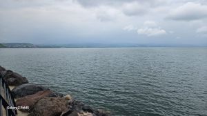 סוף סוף: מפלס הכנרת בנתון שלא נראה הרבה זמן