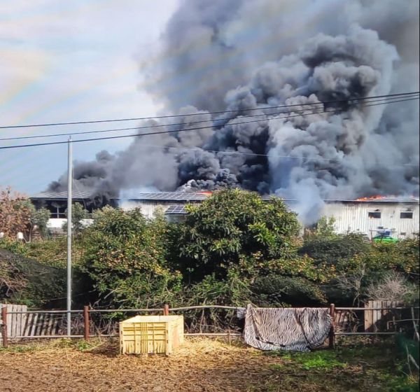 שריפת האנגר בפתחיה: חשש לחיי חיות במבנה 
