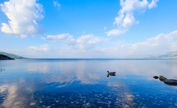 גם בלי גשם: מפלס הכנרת בעוד טיפוס מדהים