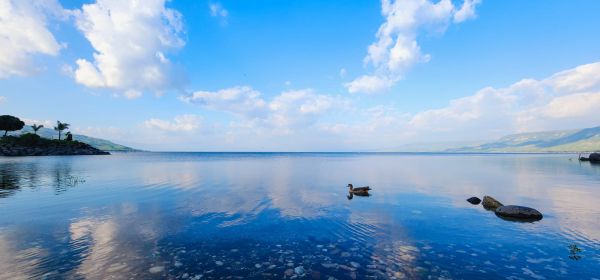 גם בלי גשם: מפלס הכנרת בעוד טיפוס מדהים
