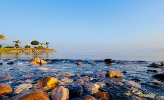 החיידק הנדיר: משרד הבריאות פסל זיהום בכנרת