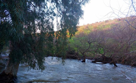 לאחר סימני הזיהום: איכות המים בנחל המוכר תיבחן