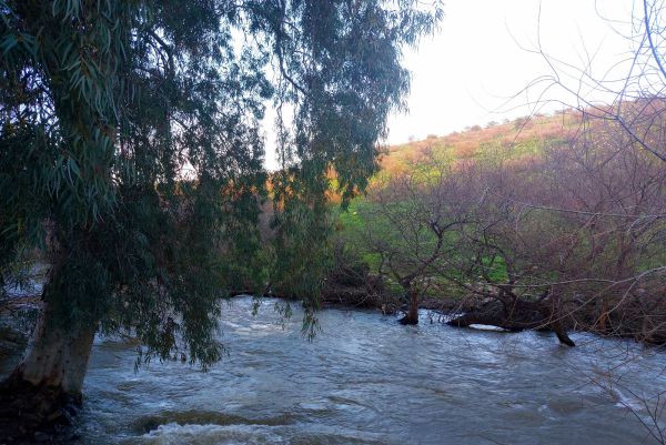 לאחר סימני הזיהום: איכות המים בנחל המוכר תיבחן