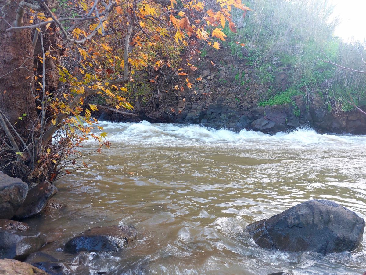 45 קוב לשניה | מרהיב: זרימה אדירה בנהר הירדן. צפו