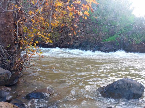 משרד הבריאות באזהרה חמורה למטיילים בצפון