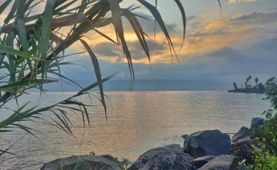 קצב מסחרר: מפלס הכנרת בעוד זינוק חד