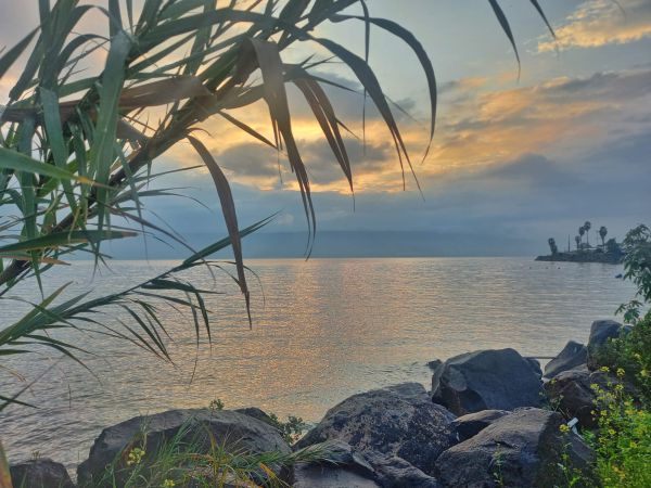 קצב מסחרר: מפלס הכנרת בעוד זינוק חד