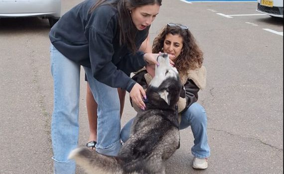 סקאי שב הביתה: הכלב שנגנב הוחזר למשפחתו | צפו