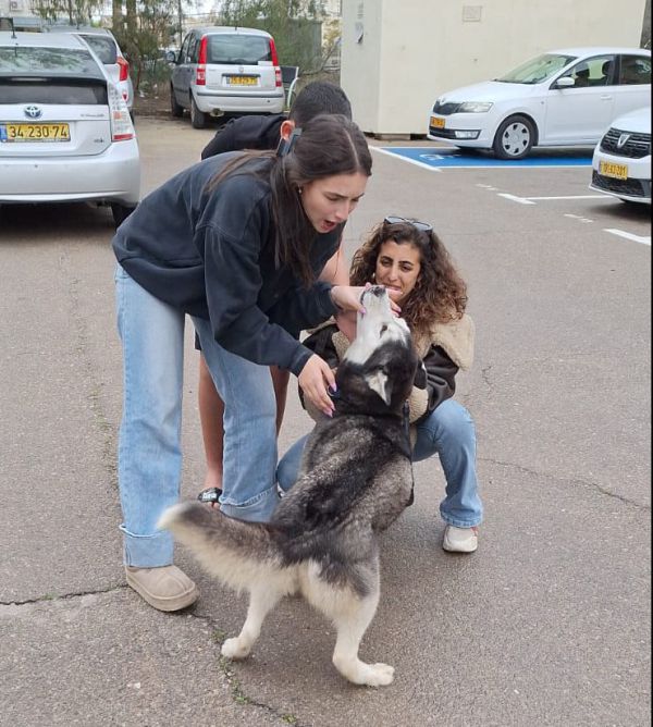 סקאי שב הביתה: הכלב שנגנב הוחזר למשפחתו | צפו
