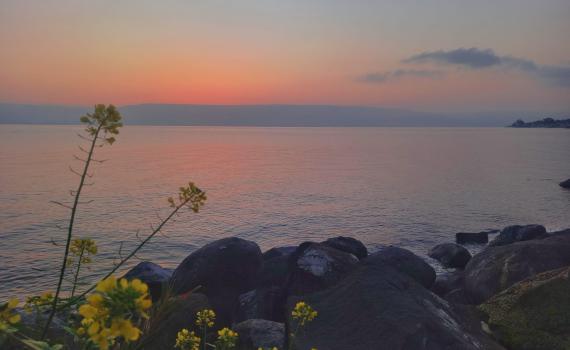 במרחק נגיעה: מפלס הכנרת עם עוד נתון מרשים