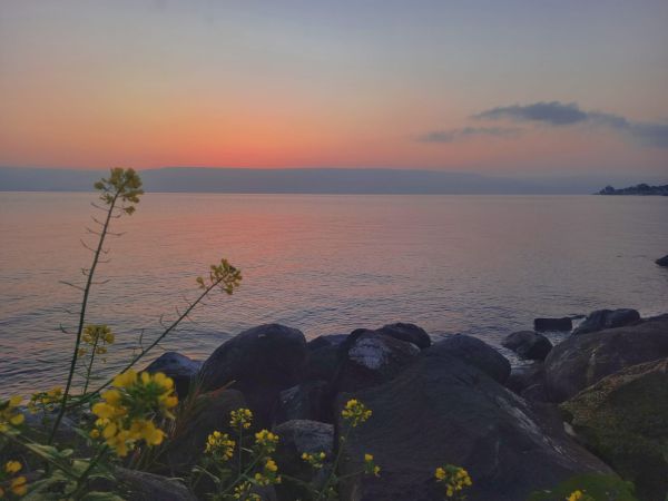 במרחק נגיעה: מפלס הכנרת עם עוד נתון מרשים