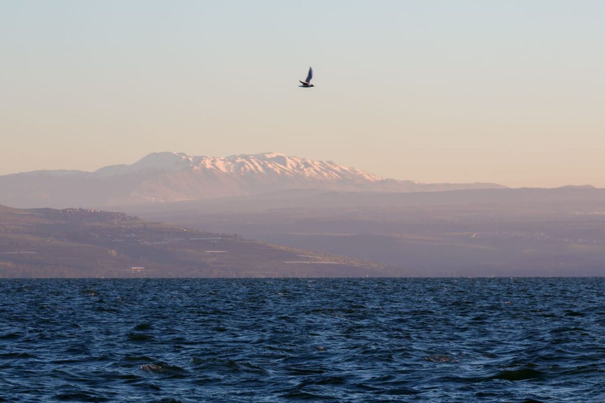 לאור הנחיות פיקוד העורף: חופי הכנרת ייפתחו מחדש