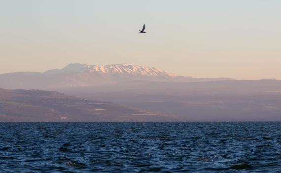 ממשיכה להתמלא: מפלס הכנרת ממשיך לטפס