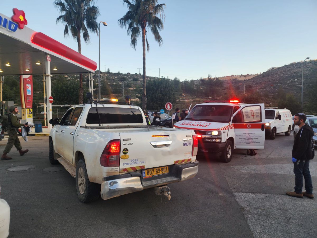 "איפה מקבלי ההחלטות?": הסלבס מגיבים לפיגוע בעלי