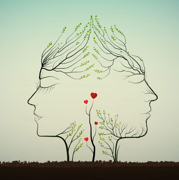 הגירושין האלה היו בלתי נמנעים